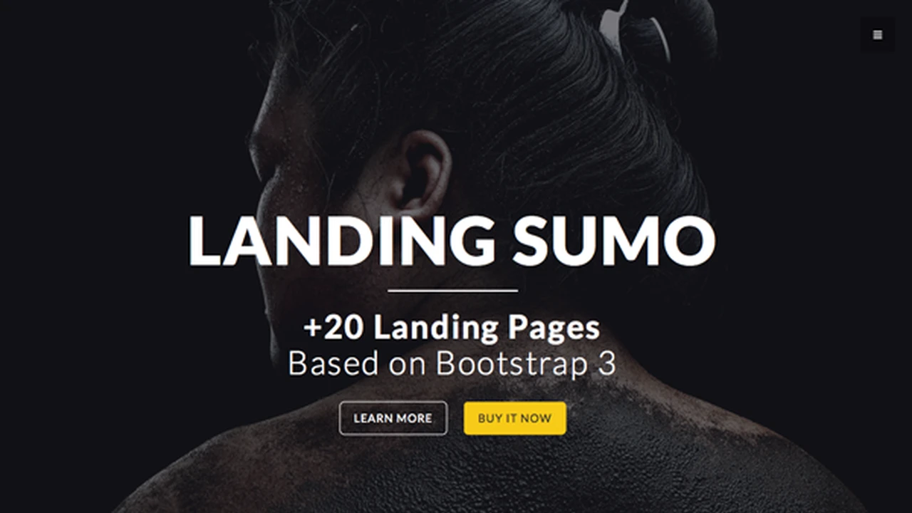 Landing Sumo - +20 Themes in One