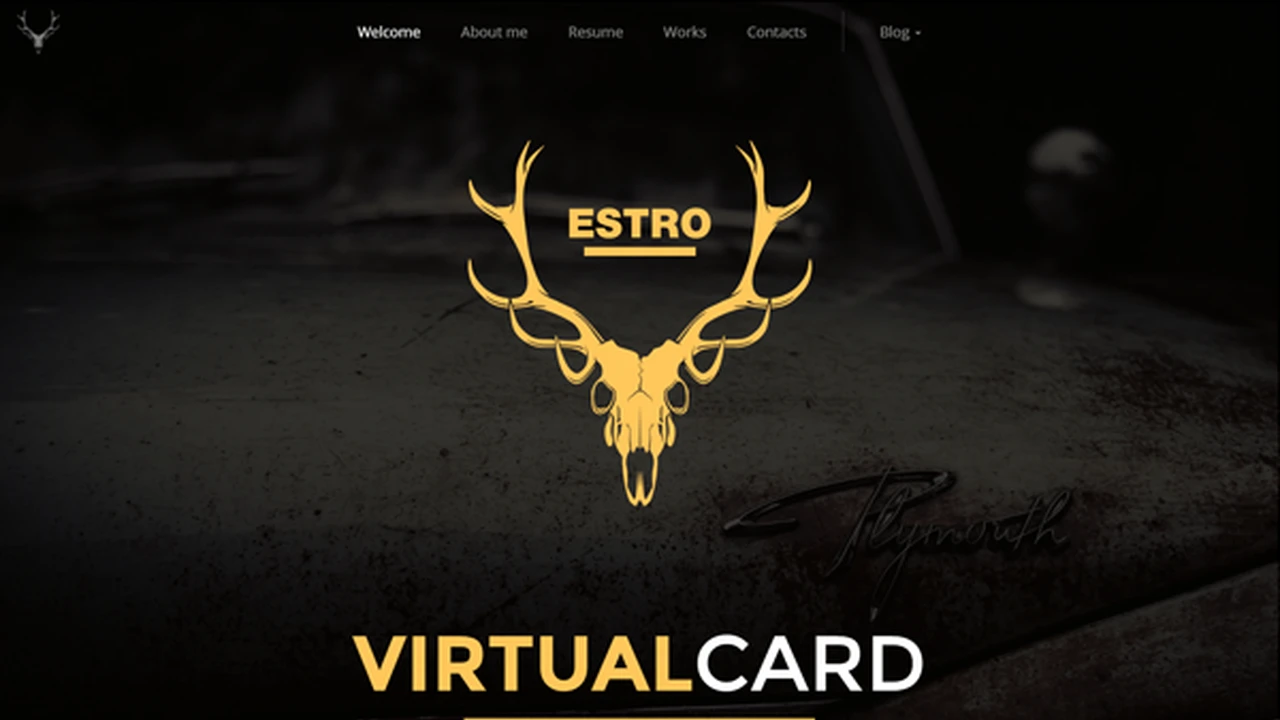 ESTRO - One Page Virtual Card With Blog