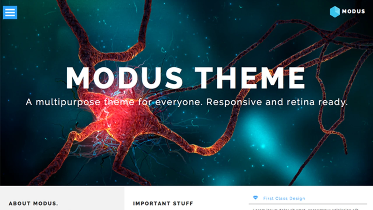 MODUS - Multipurpose Theme