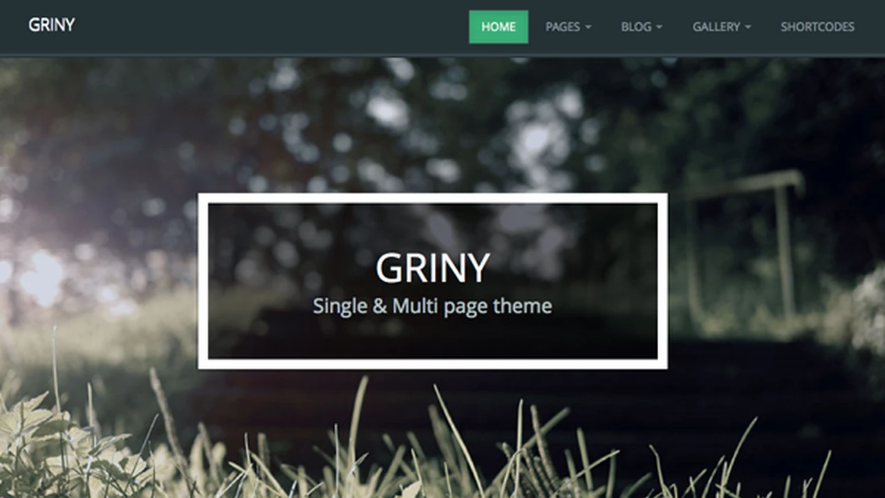 Griny - Single & Multi Page Theme