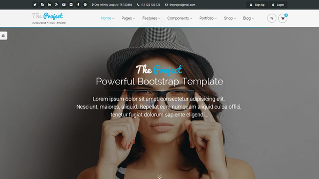 The Project - Multipurpose Template