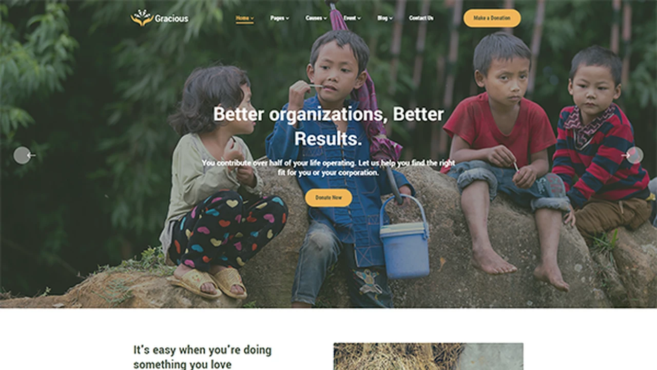 Gracious - Charity & Donation HTML Template