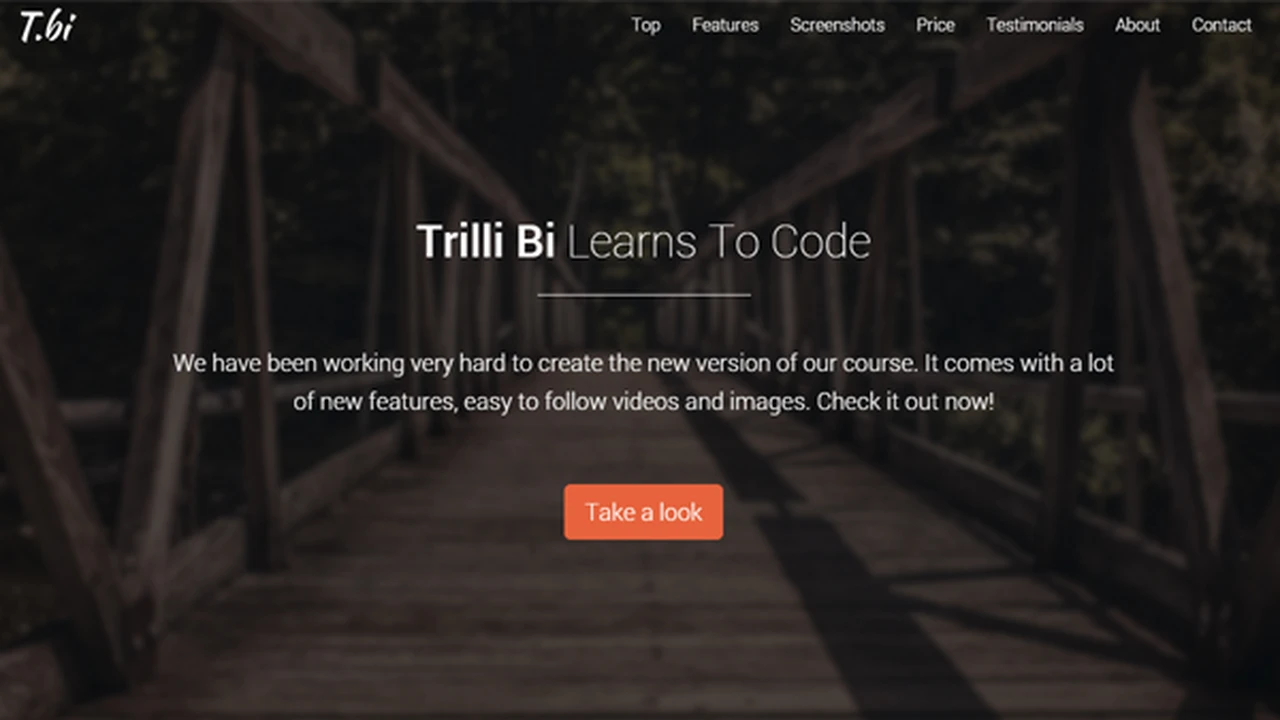 Trilli Bi - Fullscreen Landing Page