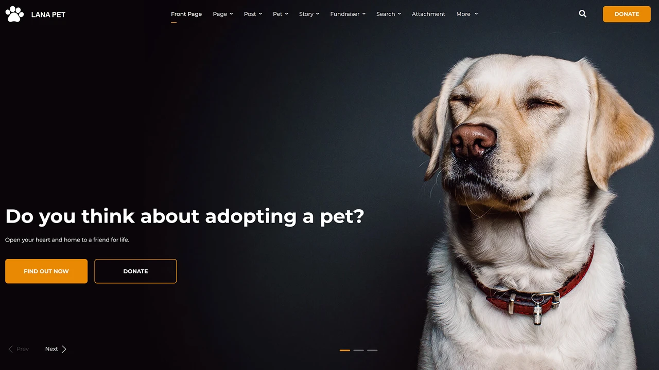 Lana Pet - Animal Shelter HTML Template