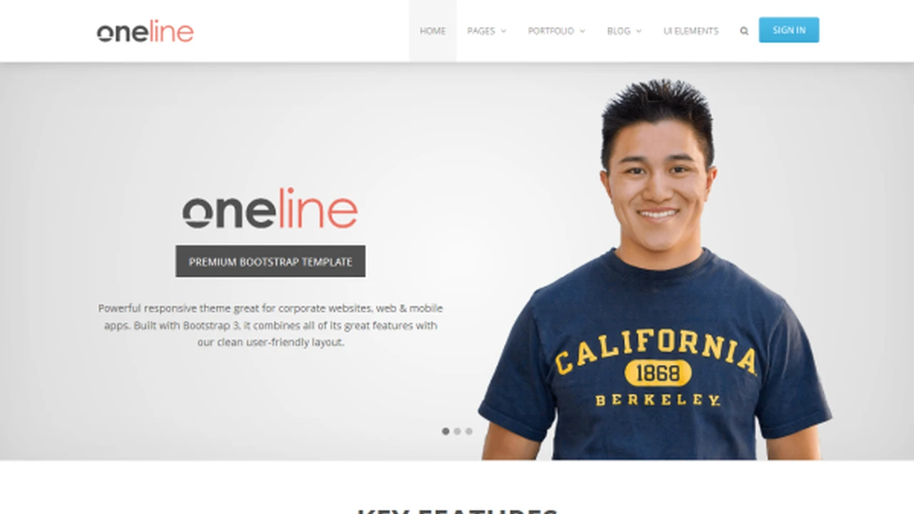 Oneline - Powerful Responsive Theme