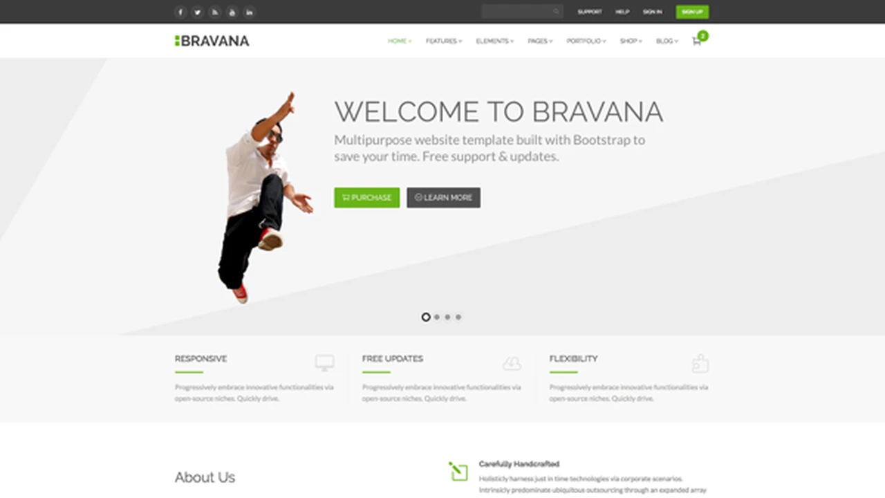Bravana - Responsive Website Template