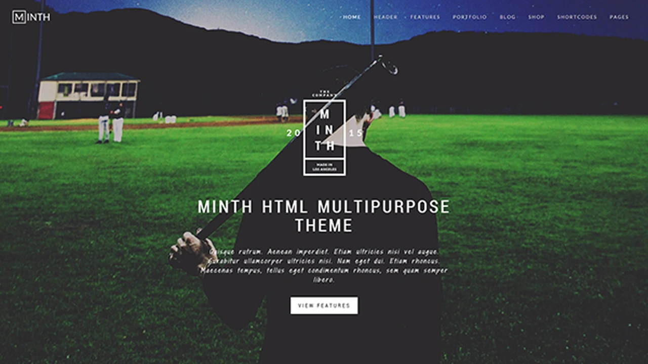 Minth - Multipurpose HTML Template