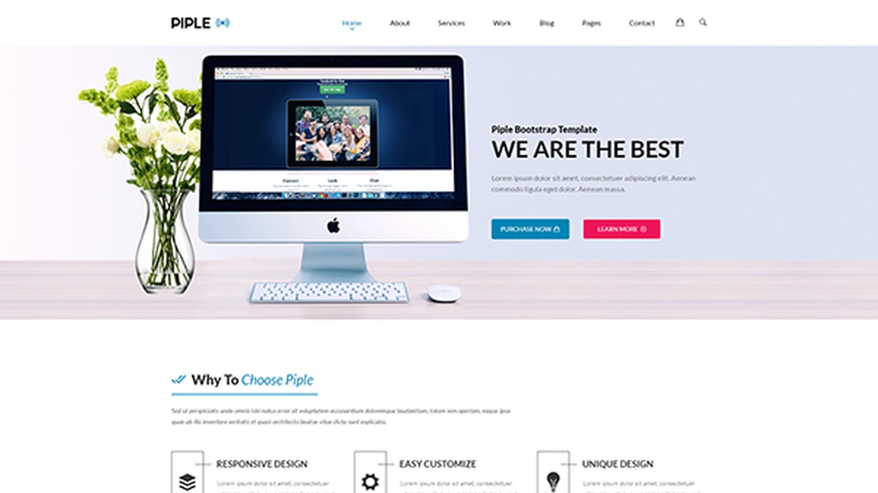 Piple - 50+ Responsive Bootstrap 4 Theme