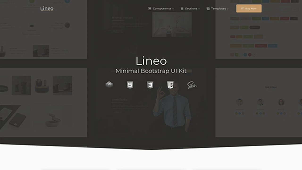 Lineo - Minimal Bootstrap UI Kit