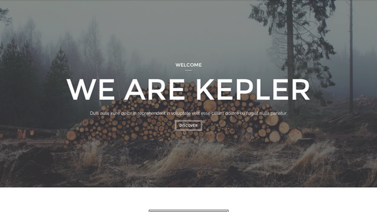 Kepler - Creative One Page Template