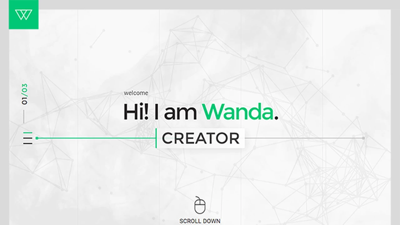 WANDA - The Unique Minimal Portfolio