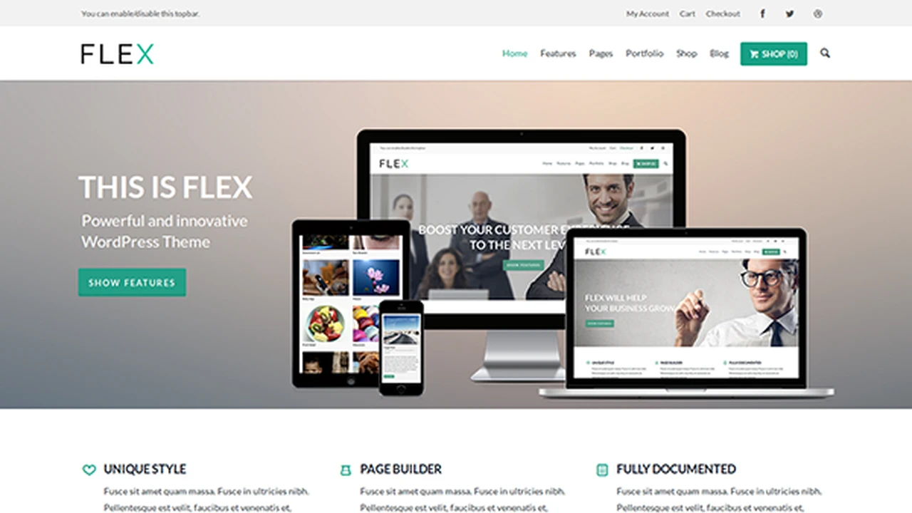 Flex - UltraFlexible WordPress Theme