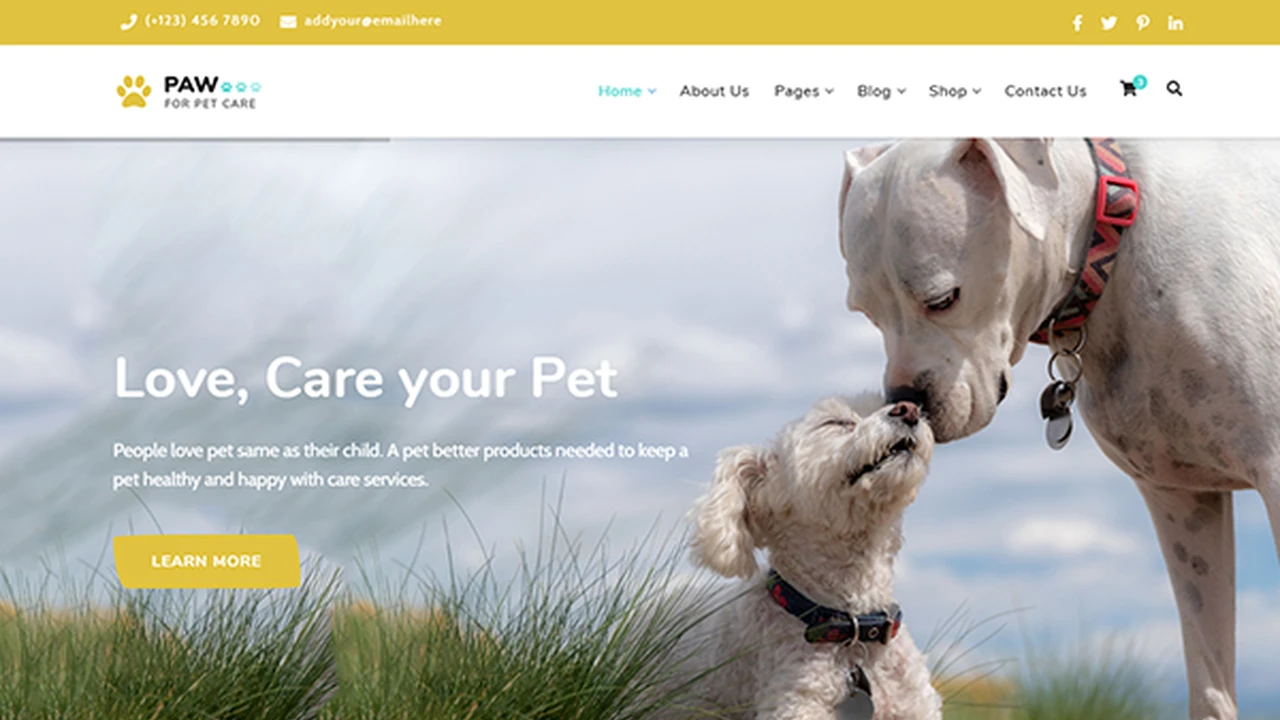 Paw - Pet Adoption Care and Shop Template