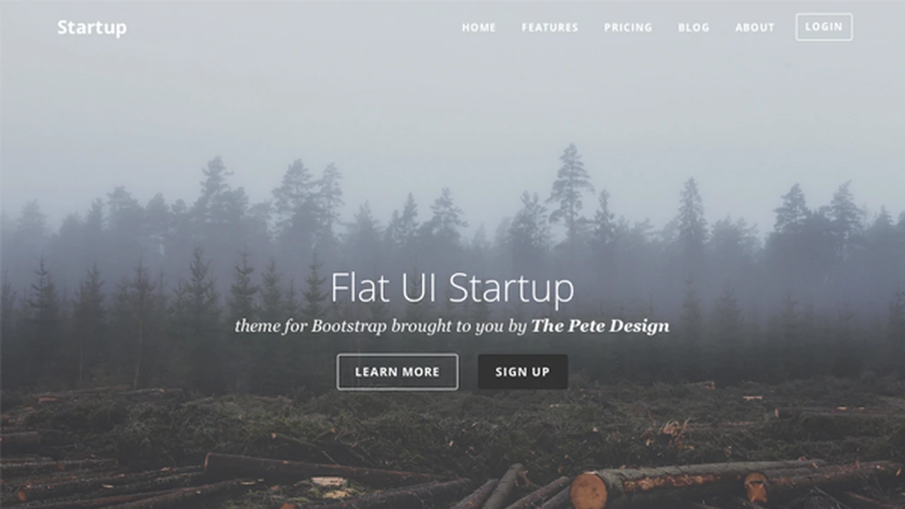 Flat UI Startup
