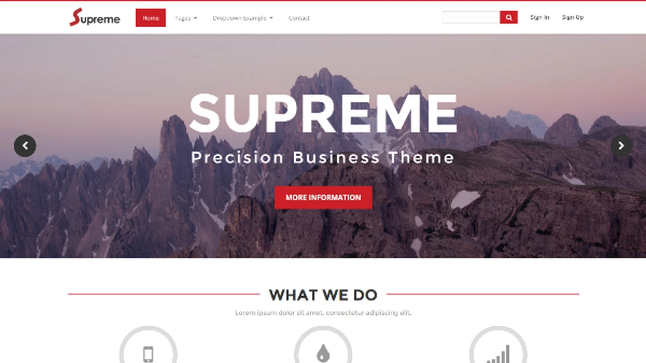 Supreme - Precision Business Theme