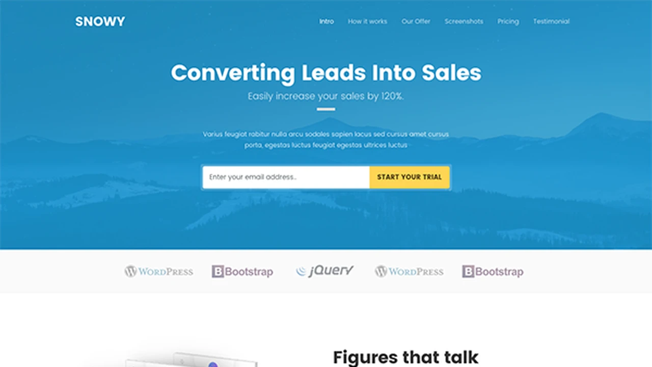 Snowy - Leads Landing Page