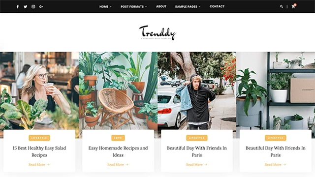Trenddy - HTML5 Blog Template